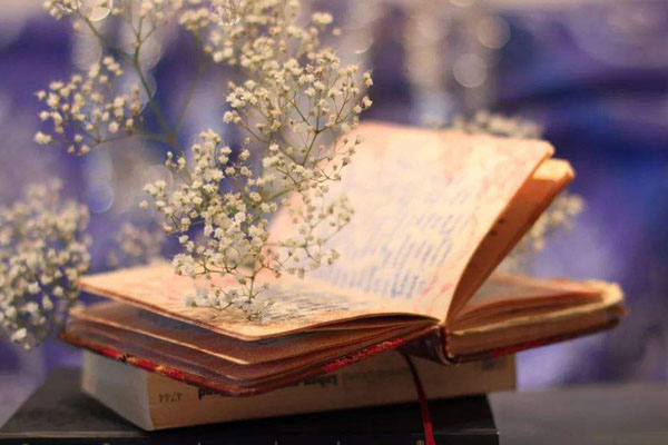 新南威尔士雅思要求