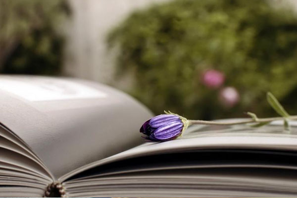 成都初高中留学机构有推荐吗?初高中留学需要具备哪些条件?