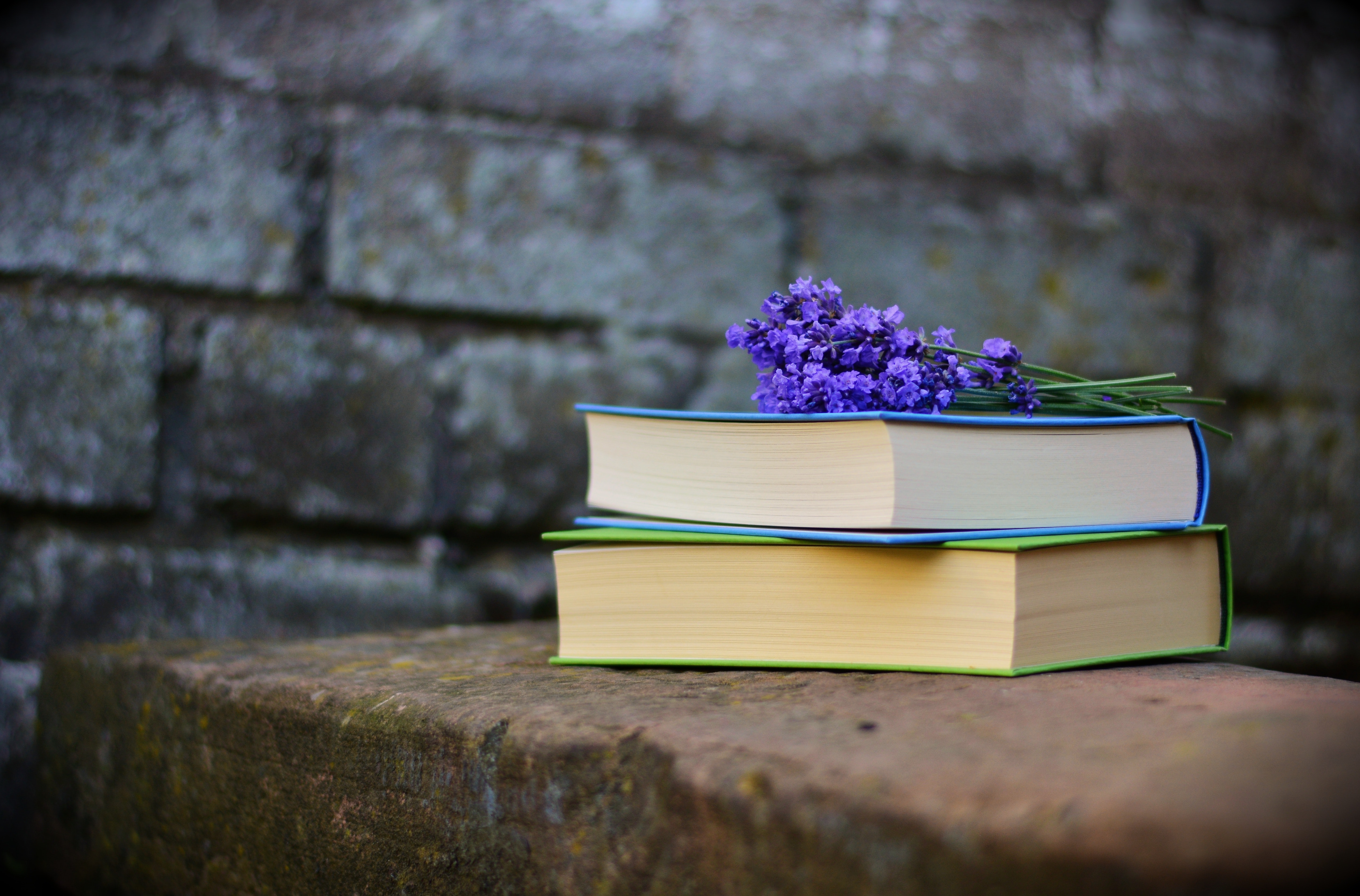 bench-blur-books-459791.jpg