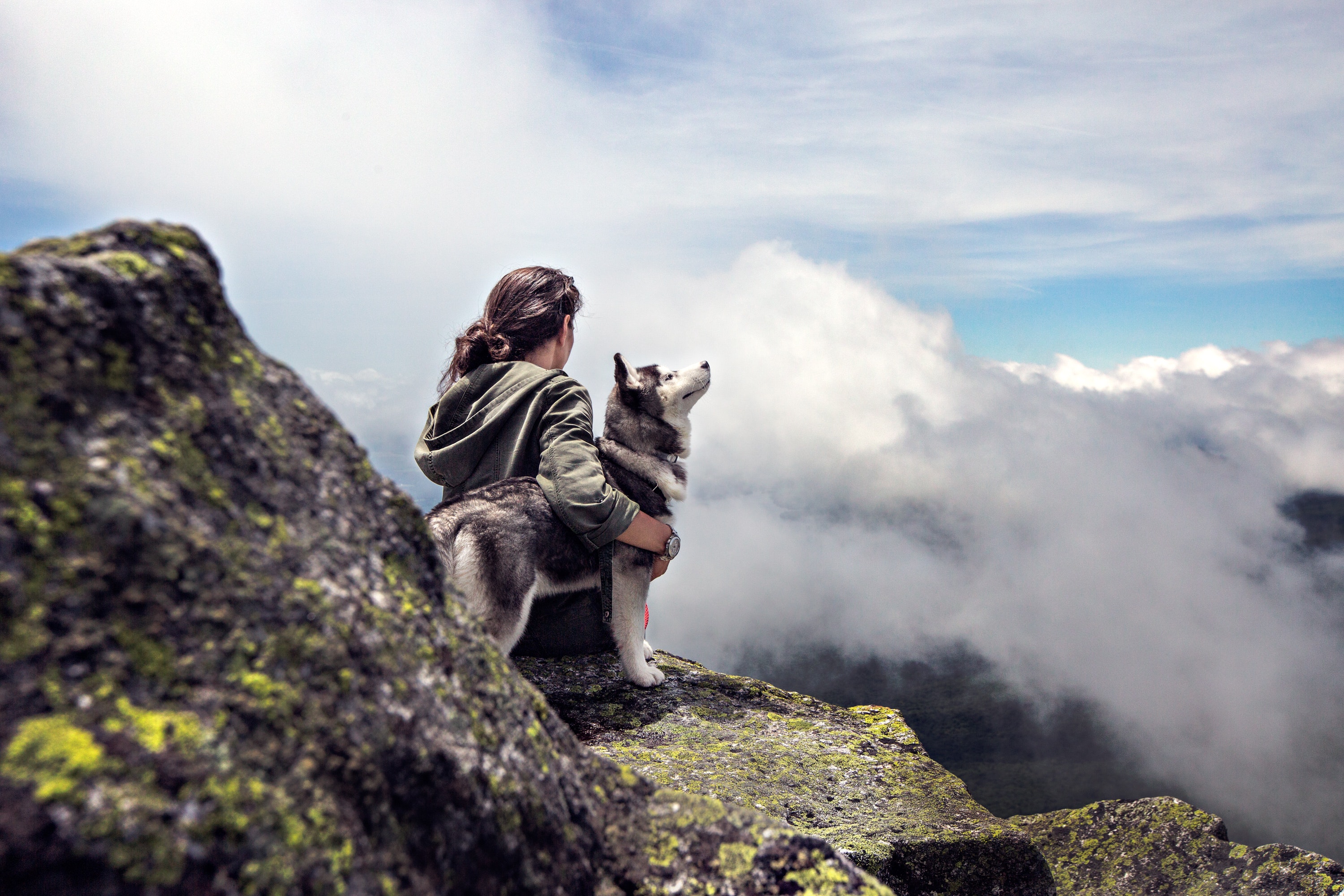 adventure-clouds-dog-36372.jpg