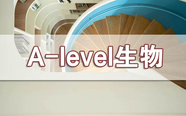 A-Level生物课程介绍学习内容