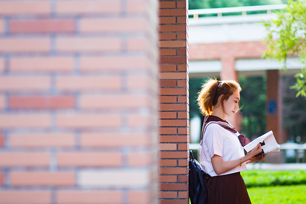 成都ap学习课程有哪些培训学校