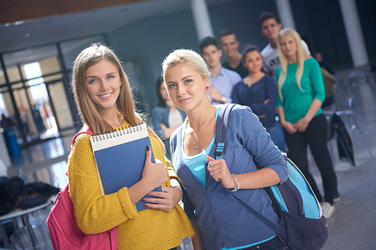 IB生物课程学习