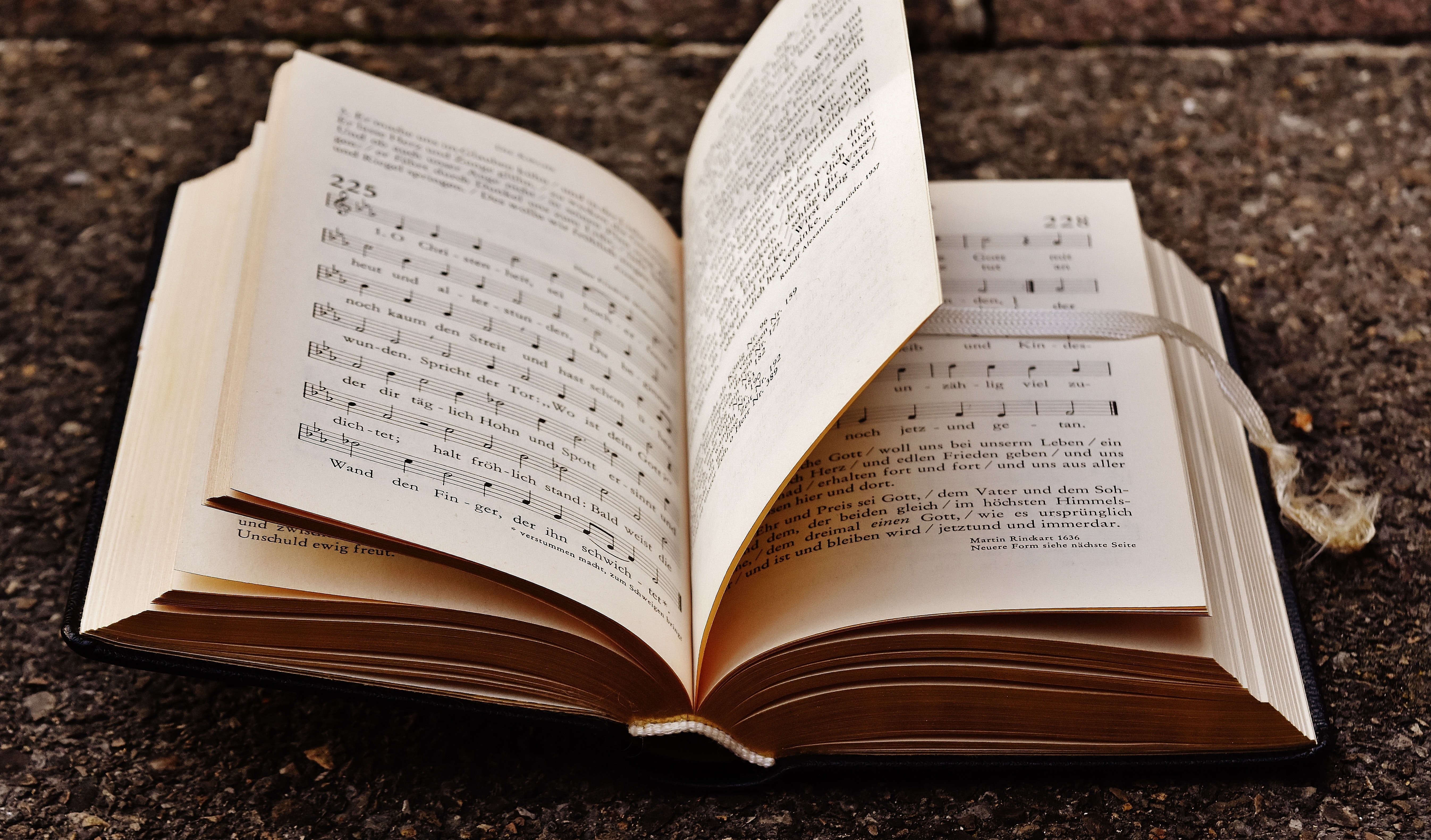 abendstimmungnd-book-mark-book-pages-208219 (1).jpg