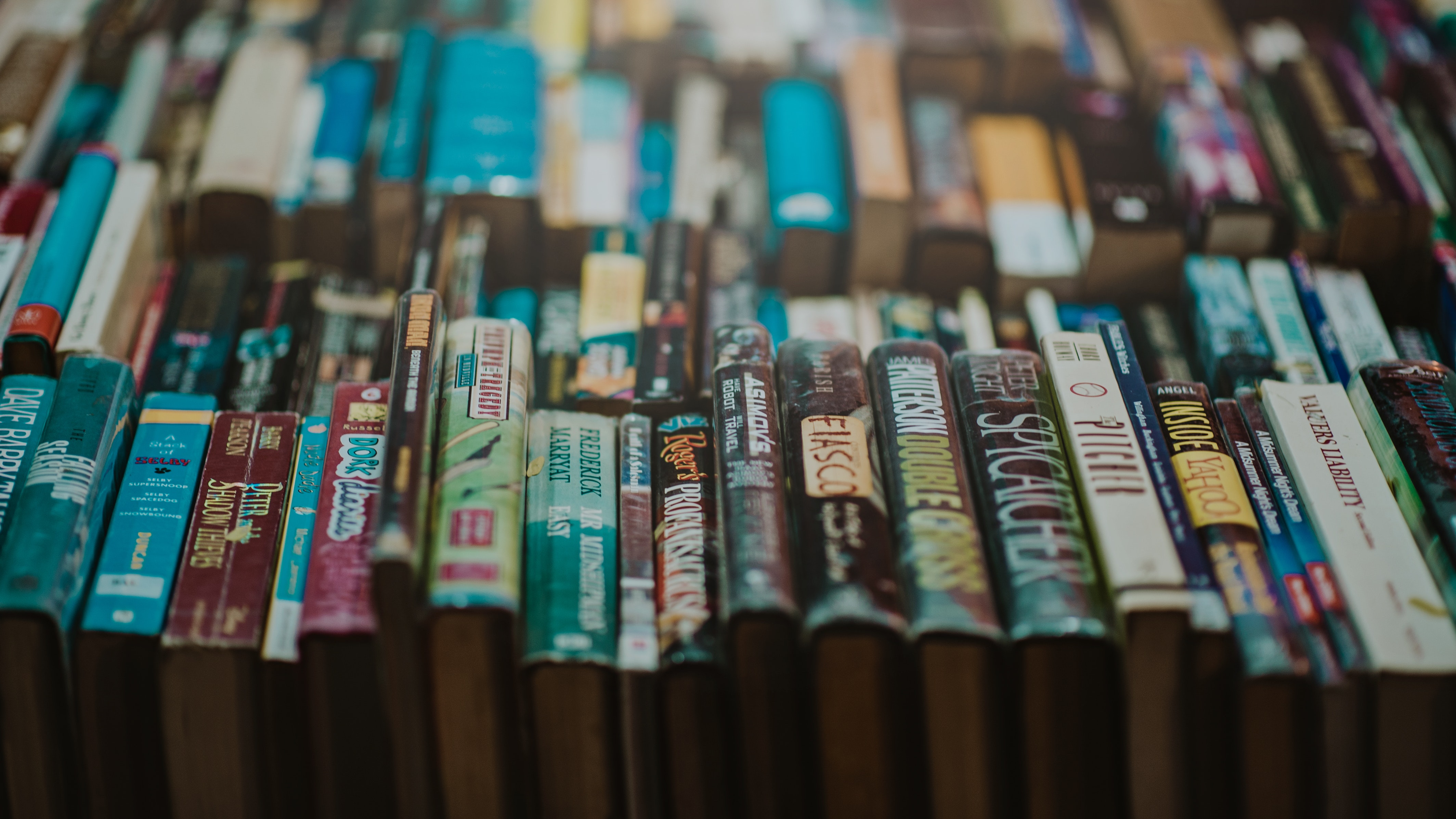 bookcase-books-bookstore-775998 (1).jpg