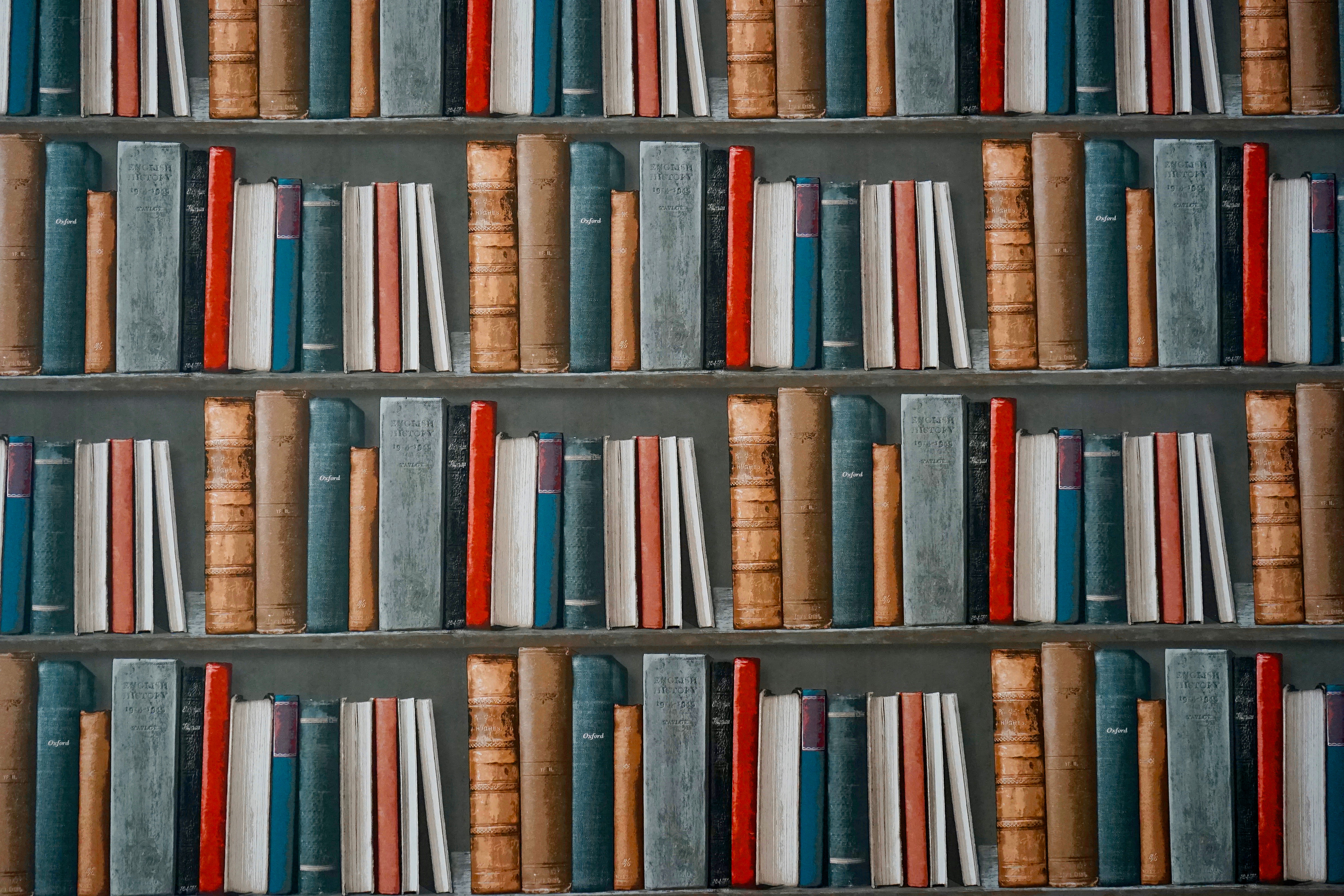 bookcase-books-bookshelf-1166657 (1).jpg