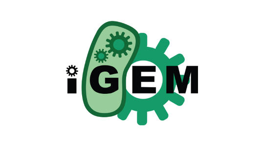 u=1485188857,986025076&fm=26&gp=0.jpg