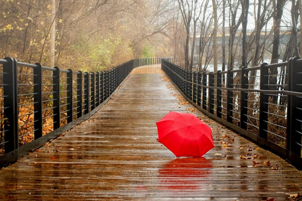 成都雅思培训机构中有没有特别好的学校?