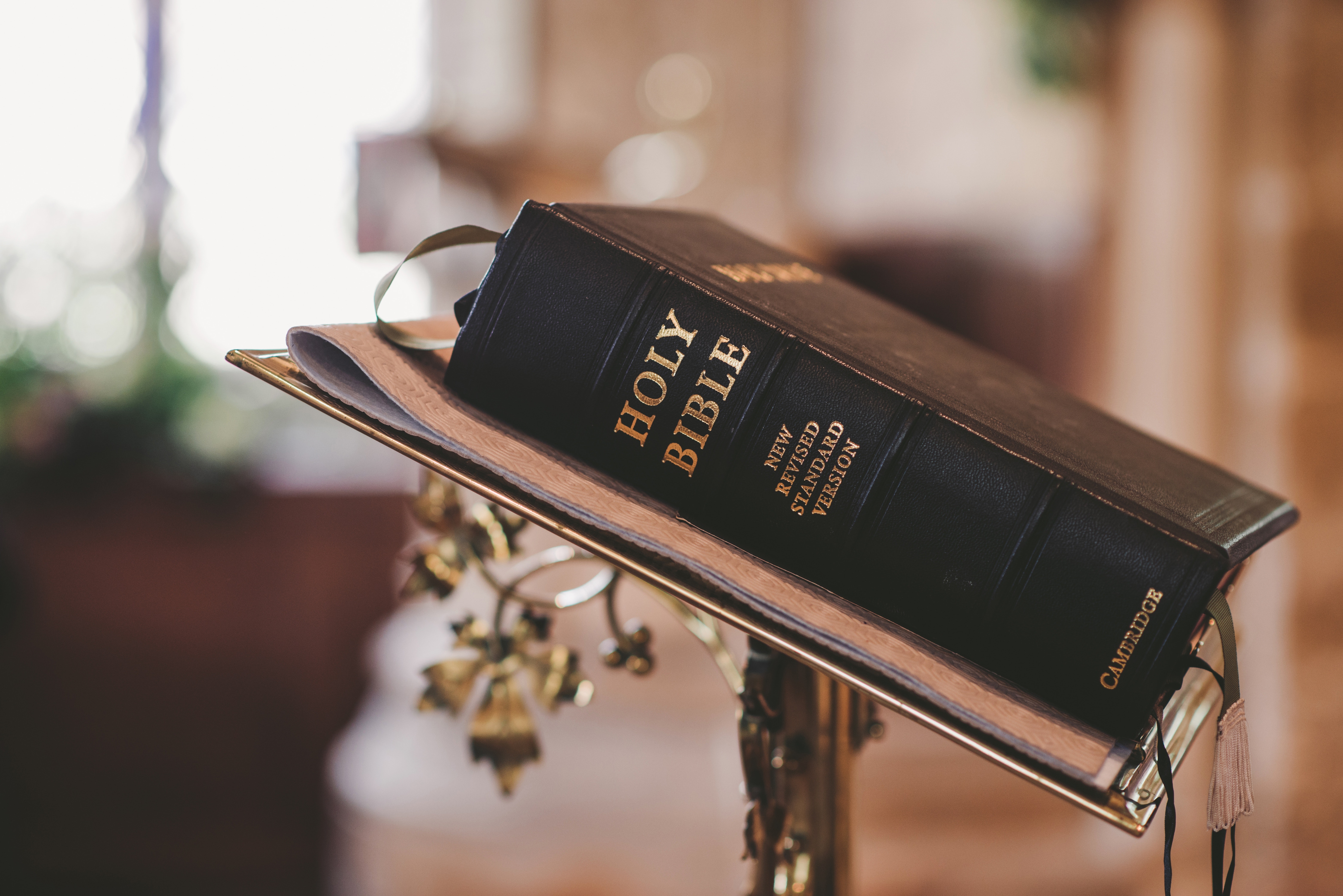 bible-blur-christ-372326.jpg