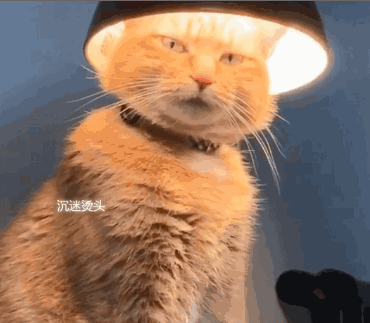 2.gif