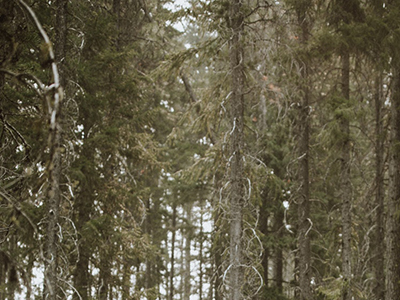 SAT阅读遇生词巧妙化解步骤技巧