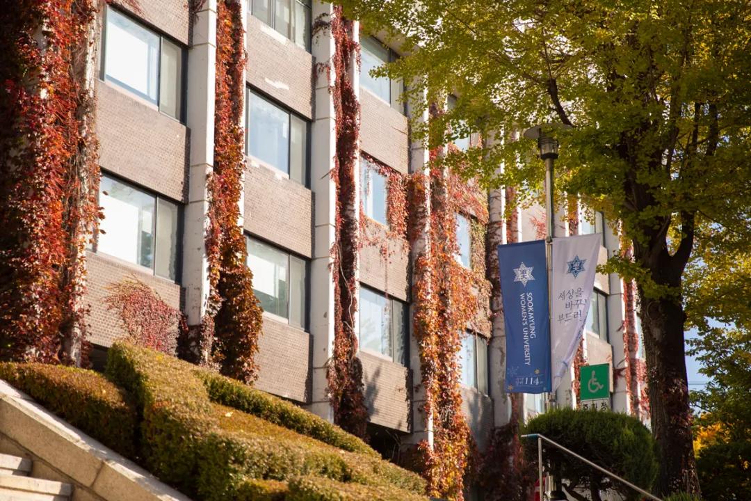 韩国留学你都了解哪些？