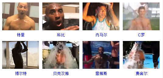 冰桶挑战体育明星