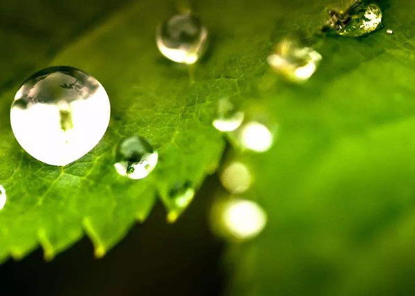 成都托福冲刺培训班哪家好些?