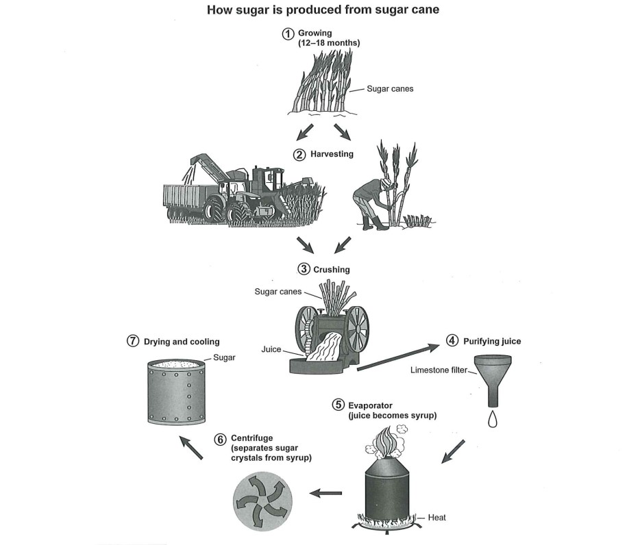 雅思写作知识点 雅思写作知识点