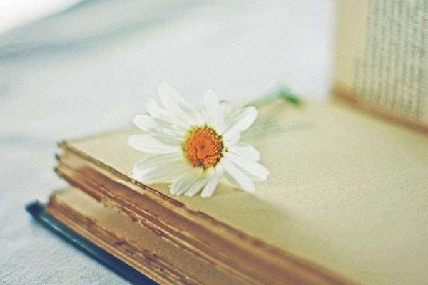 电子科技大学托福培训校内班