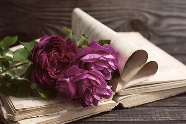 雅思机考在线模拟考试平台机构推荐