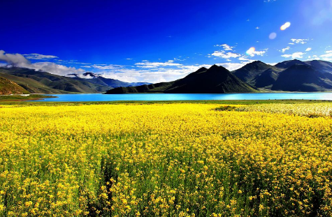 西藏为什么叫"Tibet"而不叫"Xizang"呢？