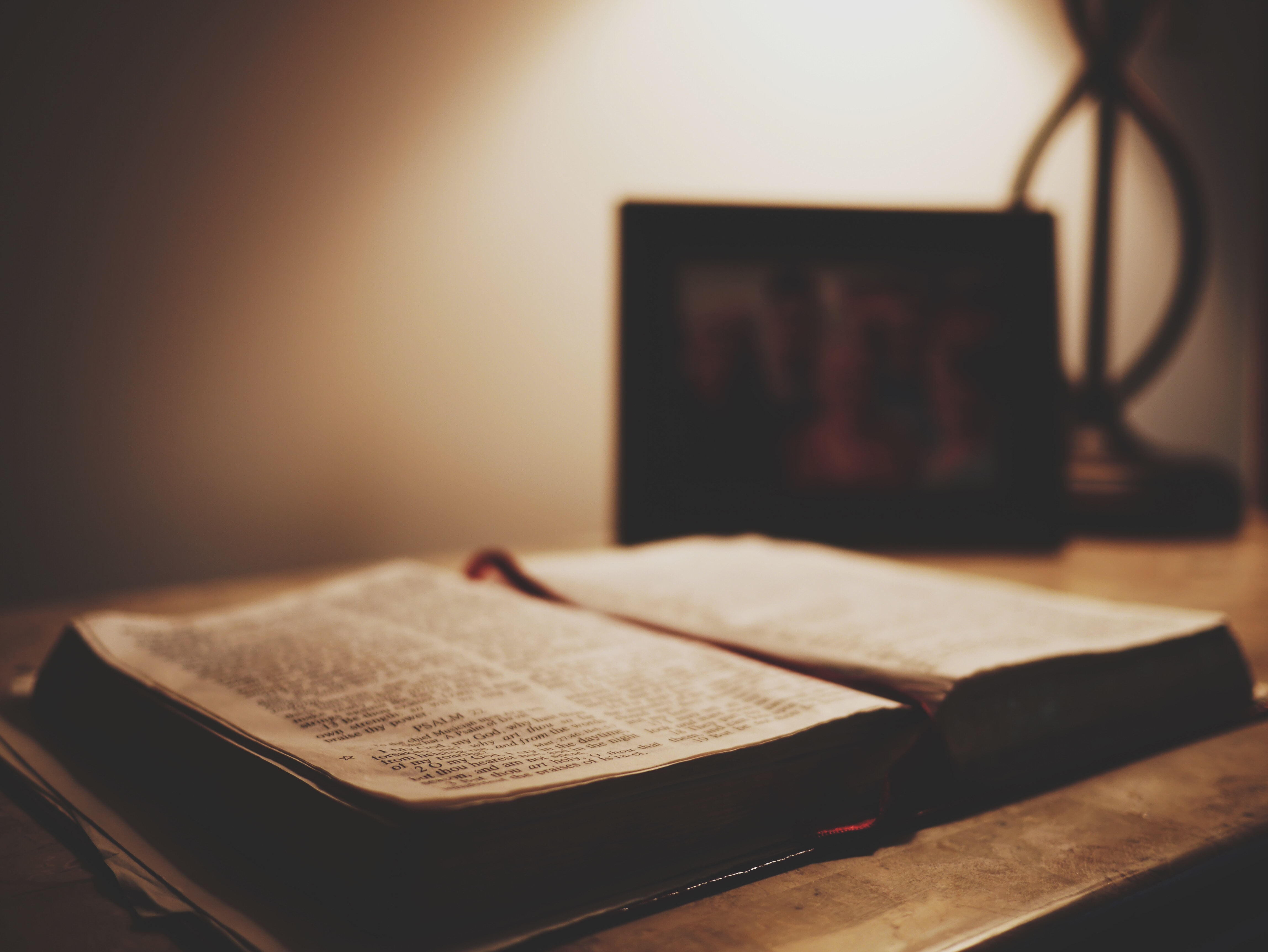 aaron-burden-H8s0PF2rcQs-unsplash_看图王.jpg