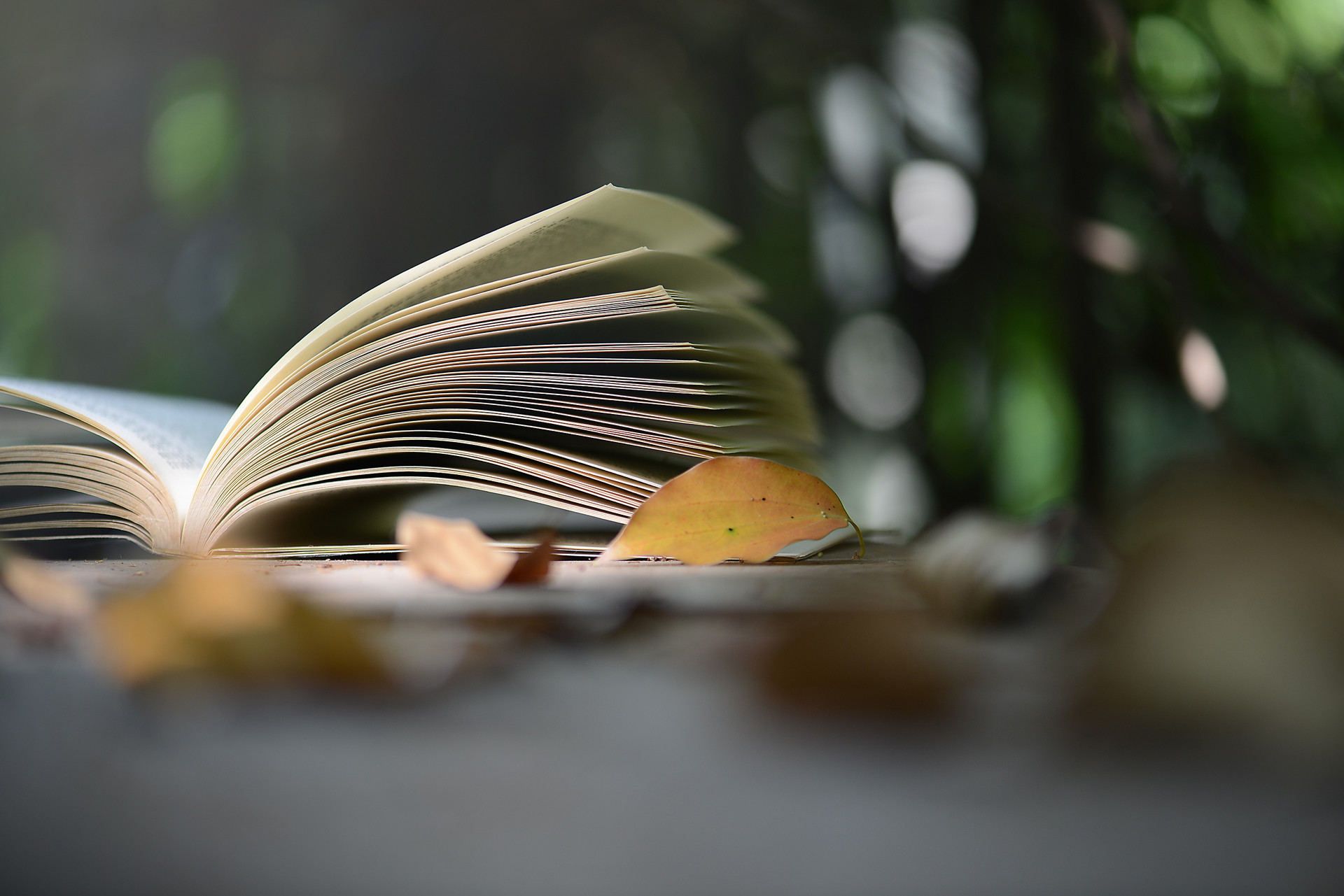 SAT数学备考经验有哪些?