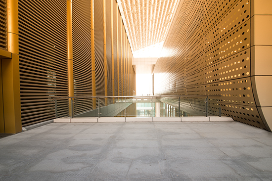 重庆雅思培训寒假班