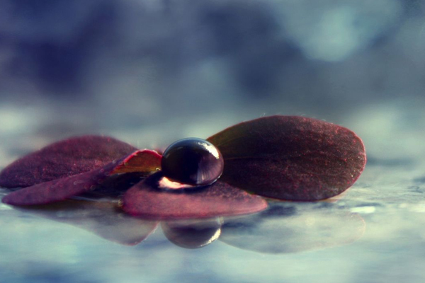 A-Level培训机构课程费用大概是多少?