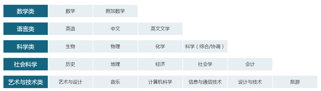 国际学校衔接课程暑假igcse课程学起来！
