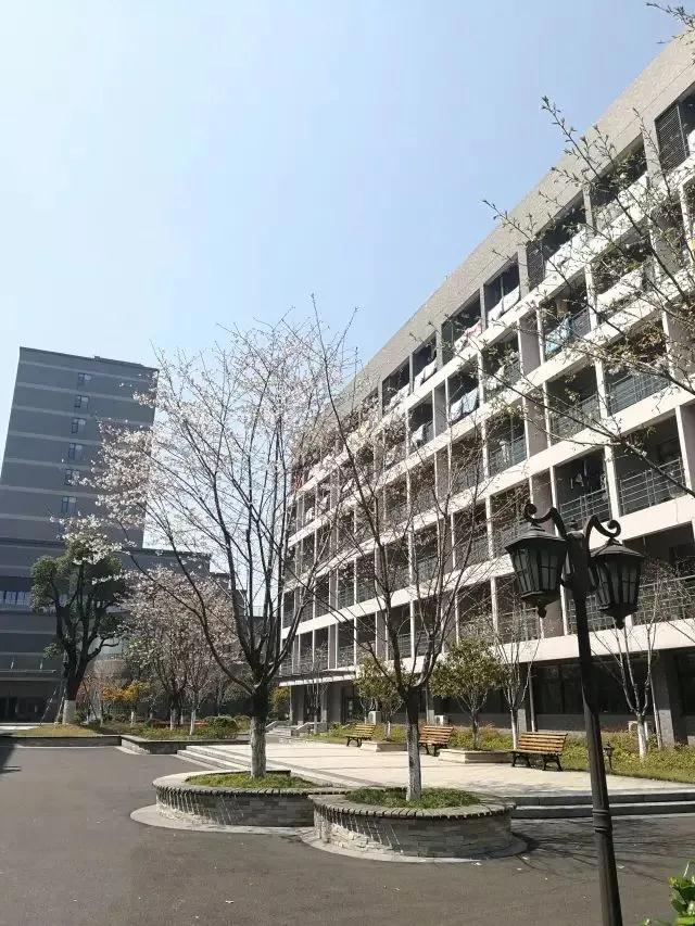 杭四中国际部 杭四中国际部