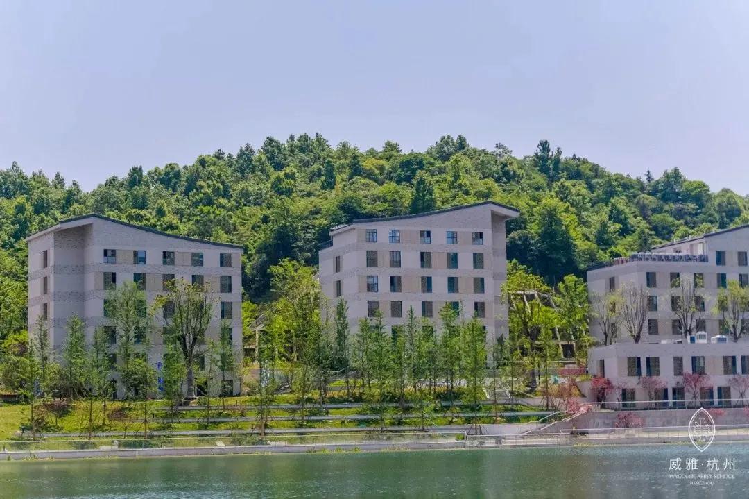 北外附属橄榄树学校1 北外附属橄榄树学校1