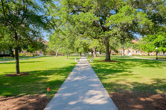 雅思培训报班大概需要多少钱