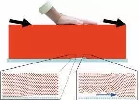 2016年SAT阅读考情回顾，为你揭开所有的迷惑