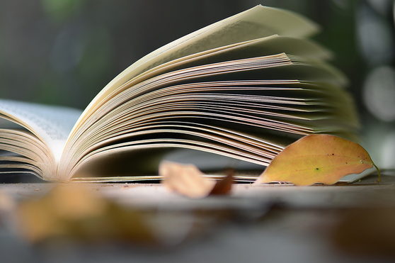 雅思写作的连接词有哪些