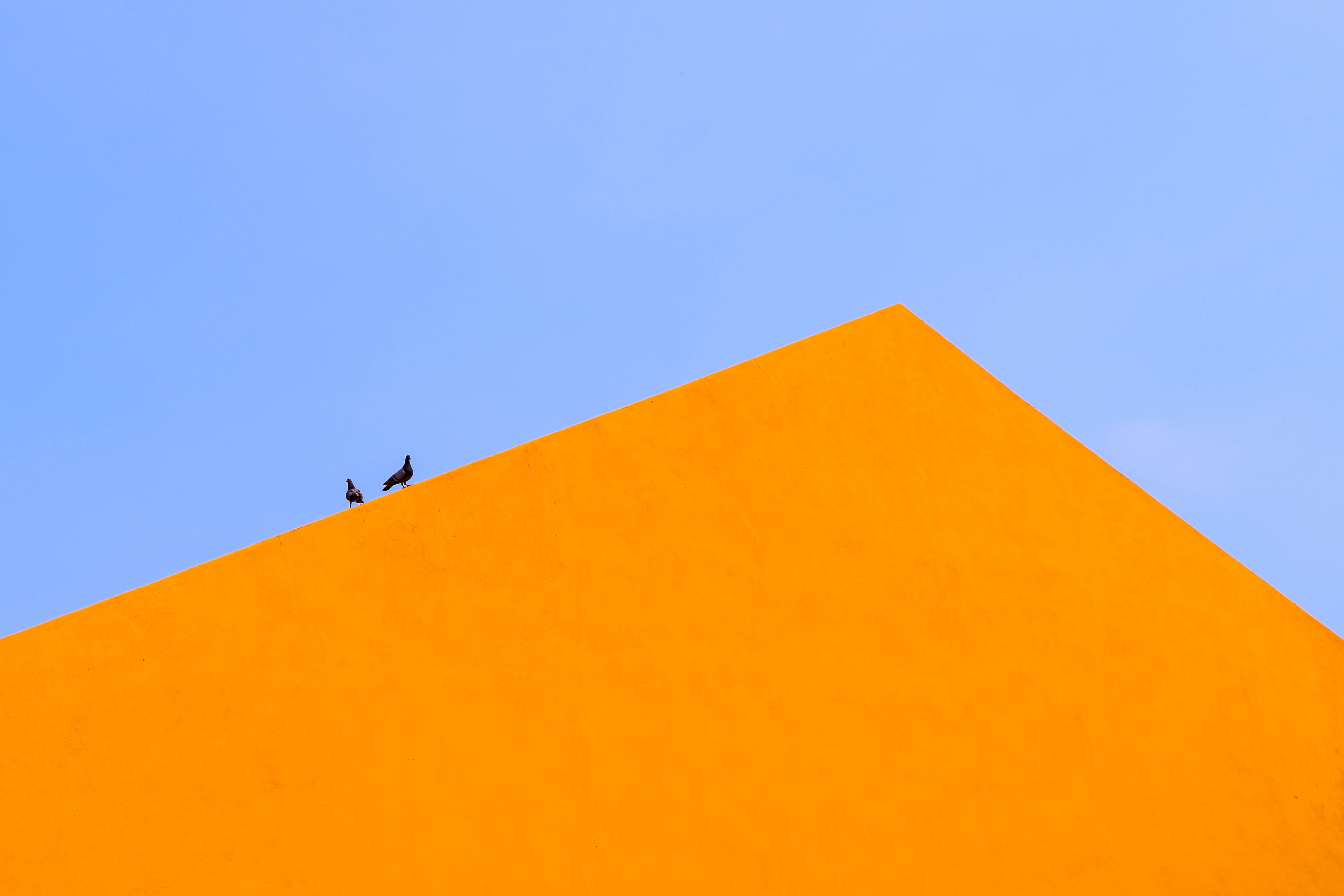 artistic-artwork-blue-2306359.jpg